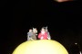 Thumbs/tn_Konijnverbranding 2016 011.jpg